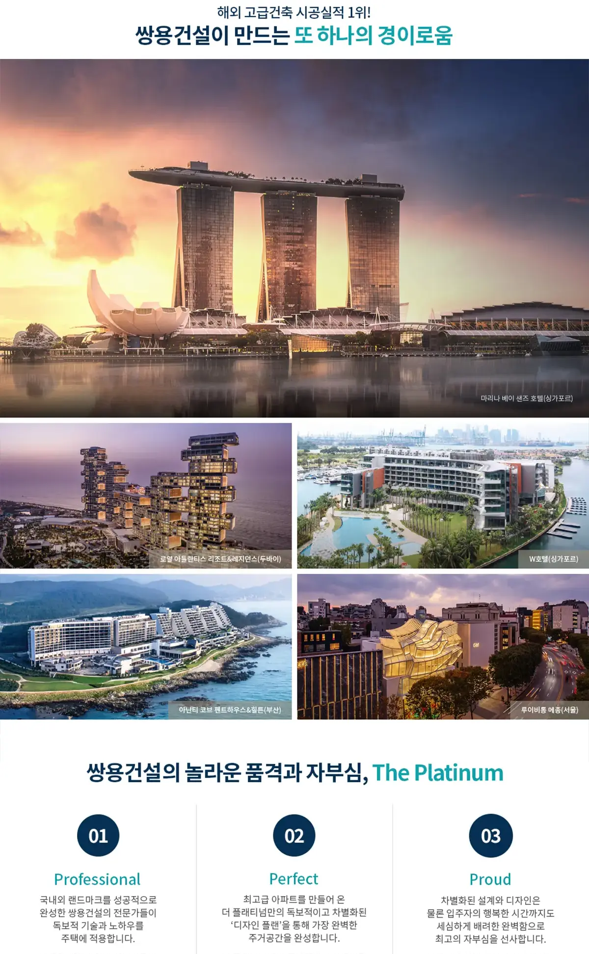 더플래티넘 소개